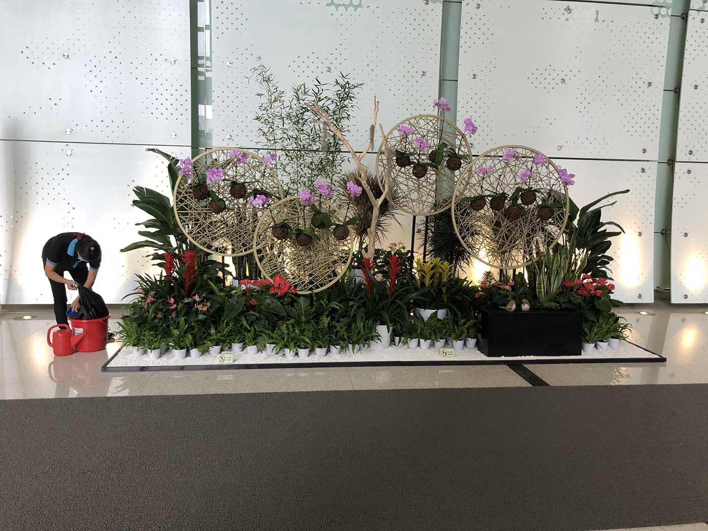 大堂组景—24-广州植物花卉租赁_室内绿植租摆_绿植组景_广州欣怡园艺