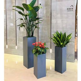 盆器组景展示